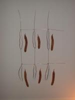 2003-3 muurobject joyce.JPG