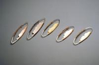1998-3 broches Ton Hoogenboomprijs.jpg